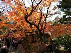 -常寂光寺