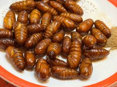 -闯关东东北农家菜(崂山石老人店)