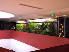 -皇冠明珠鱼翅楼(水上公园店)
