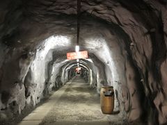 矿洞-遂昌金矿国家矿山公园