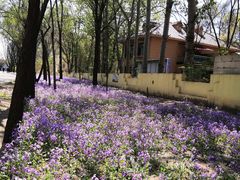 -森林公园(尖草坪区)