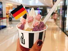 冻酸奶加一顶-JW德国冻酸奶Frozen Yogurt(龙湖成都滨江天街店)