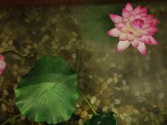 -碧露轩·大益茶体验馆(镇江路店)