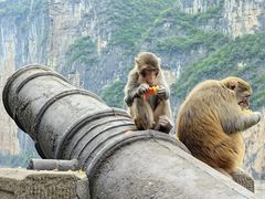 -白帝城·瞿塘峡景区