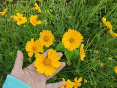 -白鹭湾湿地公园