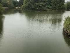 -梁鸿国家湿地公园