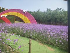 -沈阳植物园