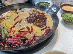 -青年火锅(吾悦广场直营店)