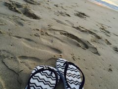 -黄金海岸