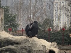 -南昌动物园