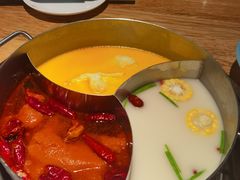 -青瓷火锅料理(西单大悦城店)