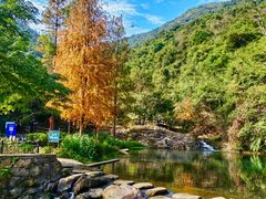 -马峦山郊野公园