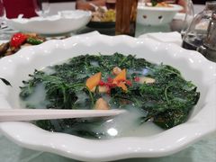 上汤辣椒叶-有腥气私房菜·寻味顺德
