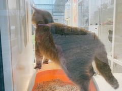 -萌兽医馆·眼科·异宠专科(三里屯店)