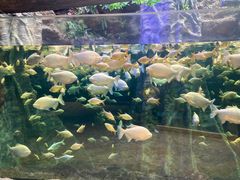 -南昌融创海世界