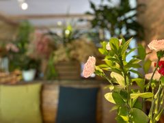-春暖花开(西溪店)