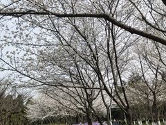 -白塘生态植物园