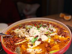 龙胆石斑鱼-滋色臻选川菜(北京坊旗舰店)