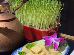 -番食园鲜食火锅(高新店)