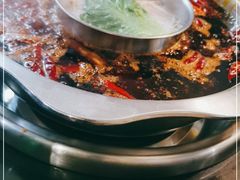 -大龙火锅(老店)