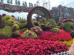 -大连森林动物园