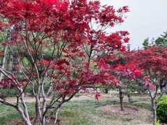 -元大都城垣遗址公园