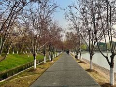 -羊山湖公园