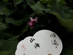 -花之城