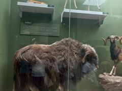 -国家自然博物馆