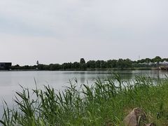 -漕湖湿地公园