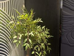 -华夏良子·足道SPA艾灸(金皇大厦店)