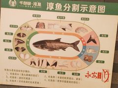 -永安水煮活鱼·仪征菜(仪征奥林匹克店)