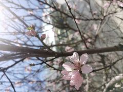 -宁波鄞州万达广场