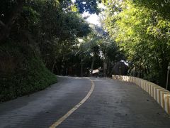 -海南分界洲岛旅游区