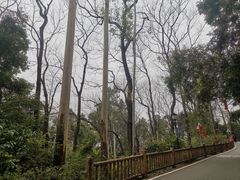 -三门江国家森林公园