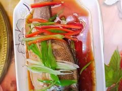 -西安市长乐公园