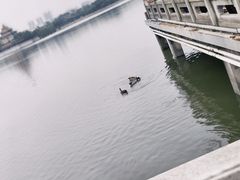 -广州市帽峰山景区