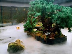 -绿茶餐厅(成都太古里店)