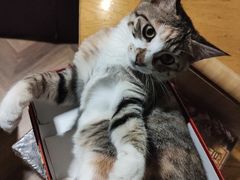 -1984魔法桌游(观音桥店)