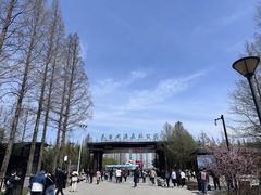 -黄海国家森林公园