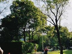 -新虹桥中心花园