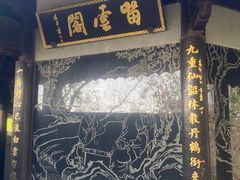 -上海佘山国家森林公园天马山园