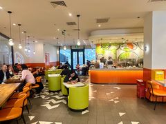 -油梨树 AVOCADO TREE(亮马桥店)