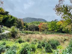 -塔川景区