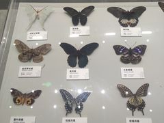 -四川大学博物馆