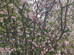 -儒之堂足道·SPA·推拿(莫干山路店)