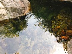 -东海大峡谷