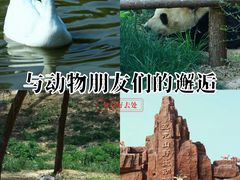 -五龙山野生动物王国