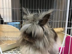 -UltraForce超源健身私教工作室(长楹天街精品店)