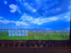 -南门四季铜锅涮肉(大屯·北苑店)